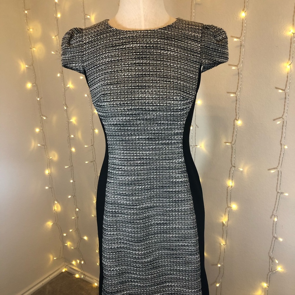 Fitted Dress